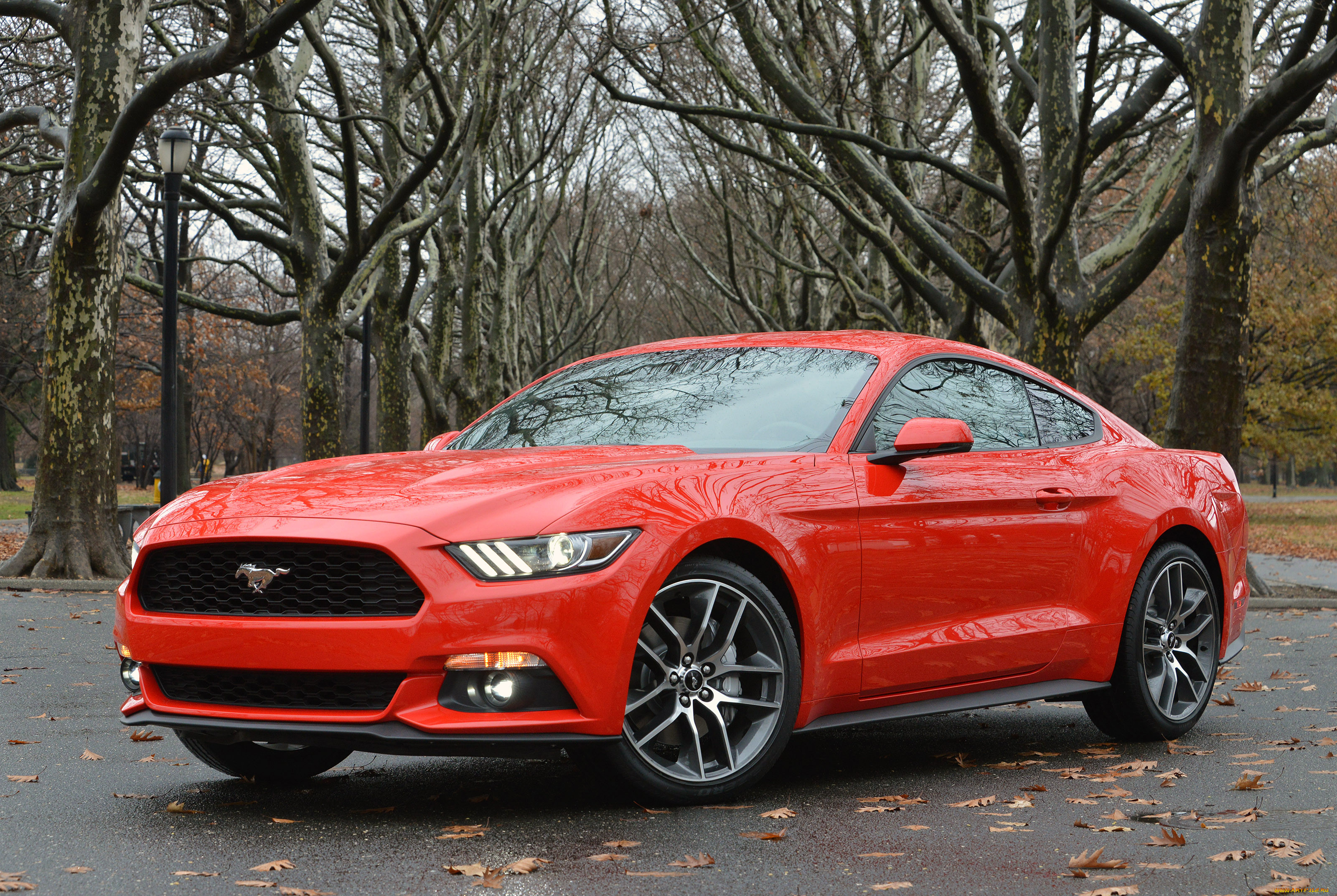 , mustang, , coupe, 2015, ford